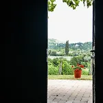 Mali Pince Aszofo