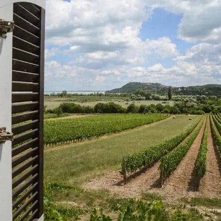 Mali Pince * Aszófő