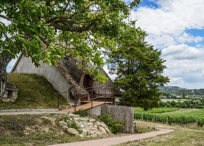 Máli Pince * Aszofo