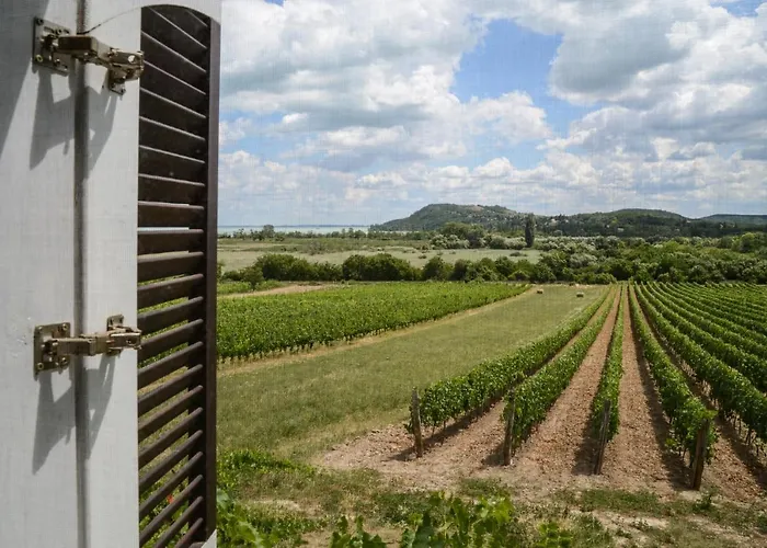 Máli Pince * Aszofo