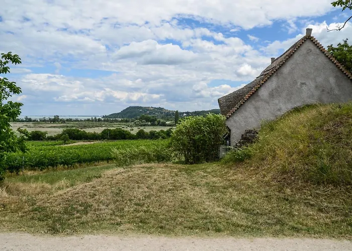 Máli Pince * Aszofo