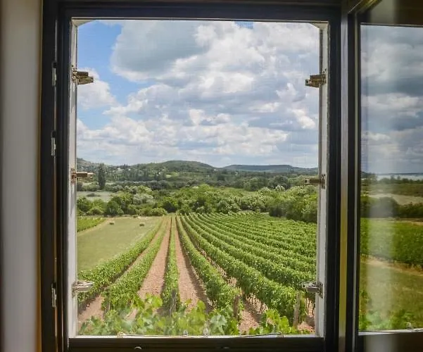 Máli Pince * Aszofo